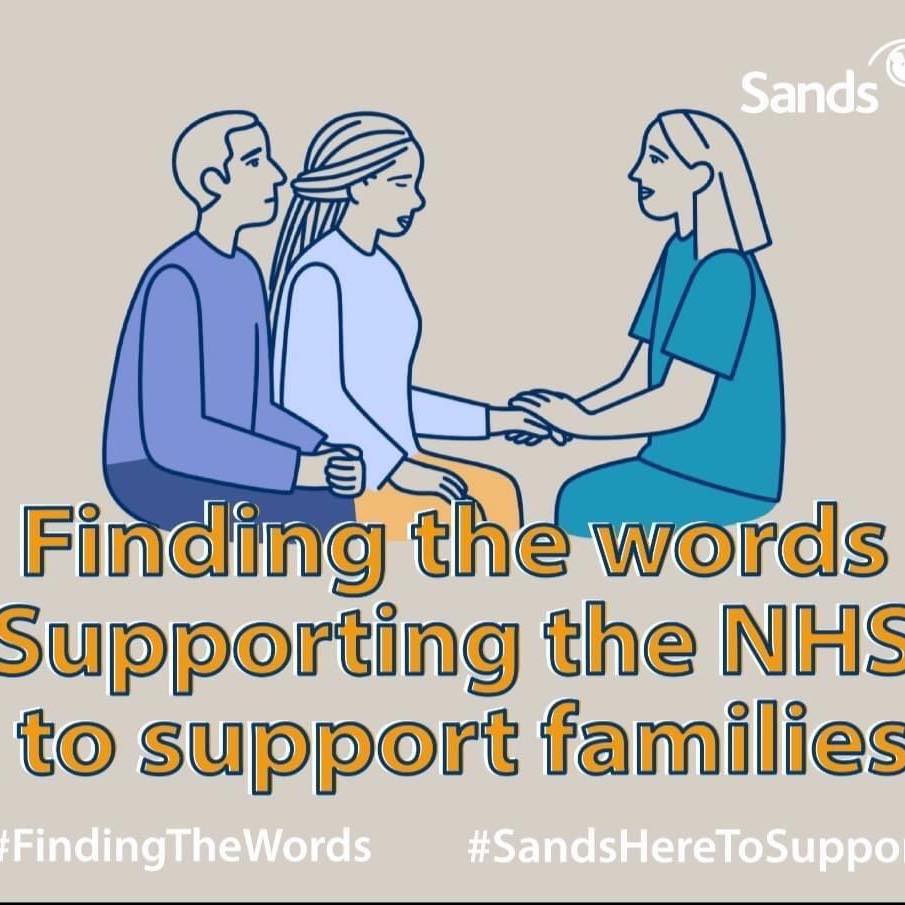 Sands logo