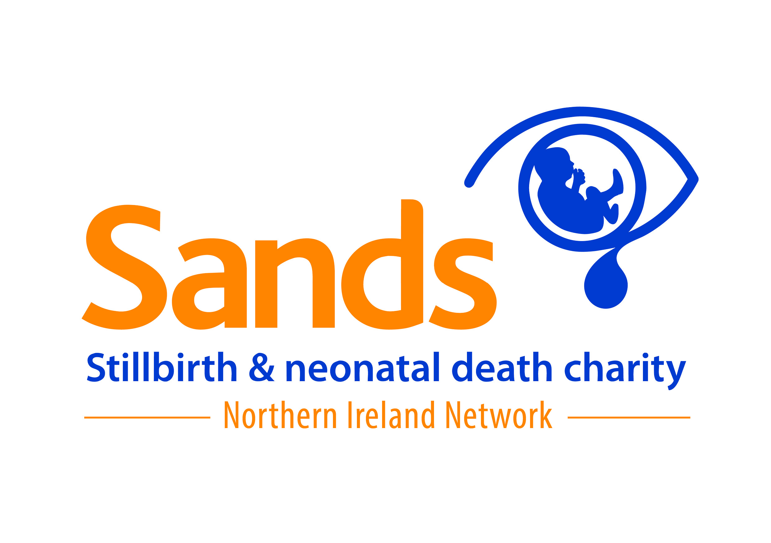 Sands Northern Ireland Networking Day